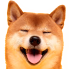 HappyDoge emote
