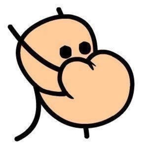 mr_lambch0p avatar