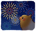 birbfireworks emote