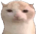 chubbyEat emote