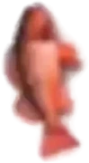Fish emote