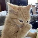 stinky emote
