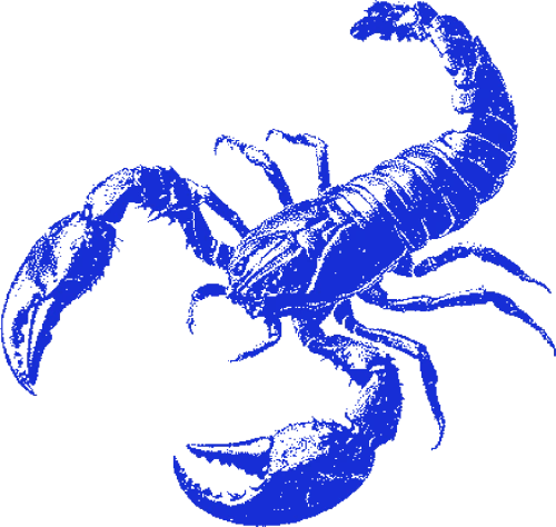 Scorpion emote