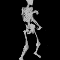 twerking_skeleton emoji
