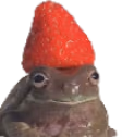 dank emote