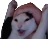 wahoo emote