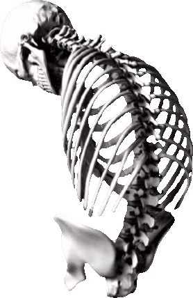 skeleton_hunched emote