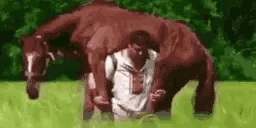 Carry emote