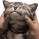Squish emote