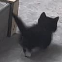 GoodBye emote
