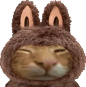 labuhbuh emote