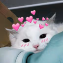 Uwuwcat emote