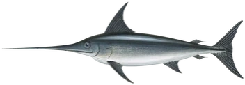 swordfish emote