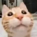 gabe emote