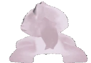 zxcTwerk emote