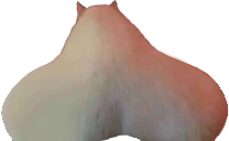Preposterous emote