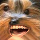 LULEBB emote