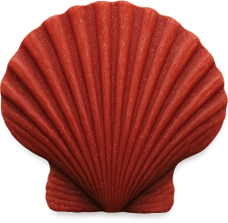 Redseashell static emote