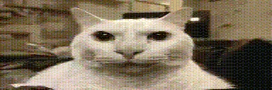 EH emote