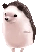hedgehogRun emote