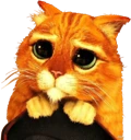 sorry emote
