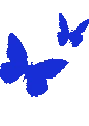 butterfly emote