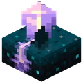 Minecraft_Calibrate_Skulk_Sensor emote