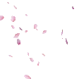 FallingPetals emote