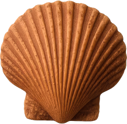 Brownseashell emote