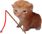 robertfishh emote