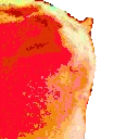 catJAMJAM emote