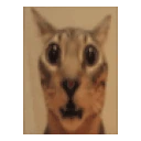 whar emote
