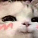 imdBlushy emote