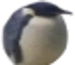 rgnac emote