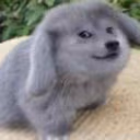 hi emote