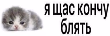 KonchuBlin emote