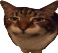 bothered_cat emote