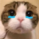bibi emote