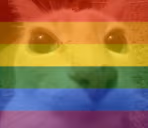 dosegay emote