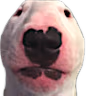 walter emote