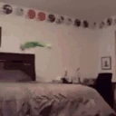 unlurk emote
