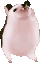 hedgehogWiggle emote