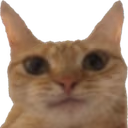caniseeyour emote
