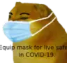 cheems_equipmaskforlivesafe emote