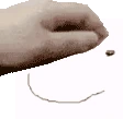 PetDrnunFaster emote