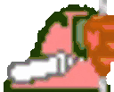 KebabParrot animated emote