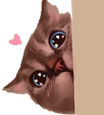 CE_AnmKittyPeek emote