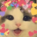lovecat emote