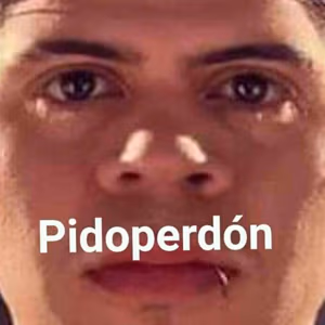 pidoperdon emote