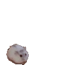 Hamseter emoji